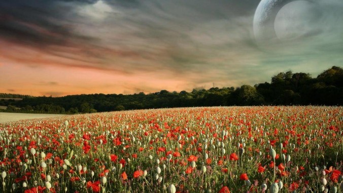 当下房子已经跌到这样了，你会买吗，为什么？